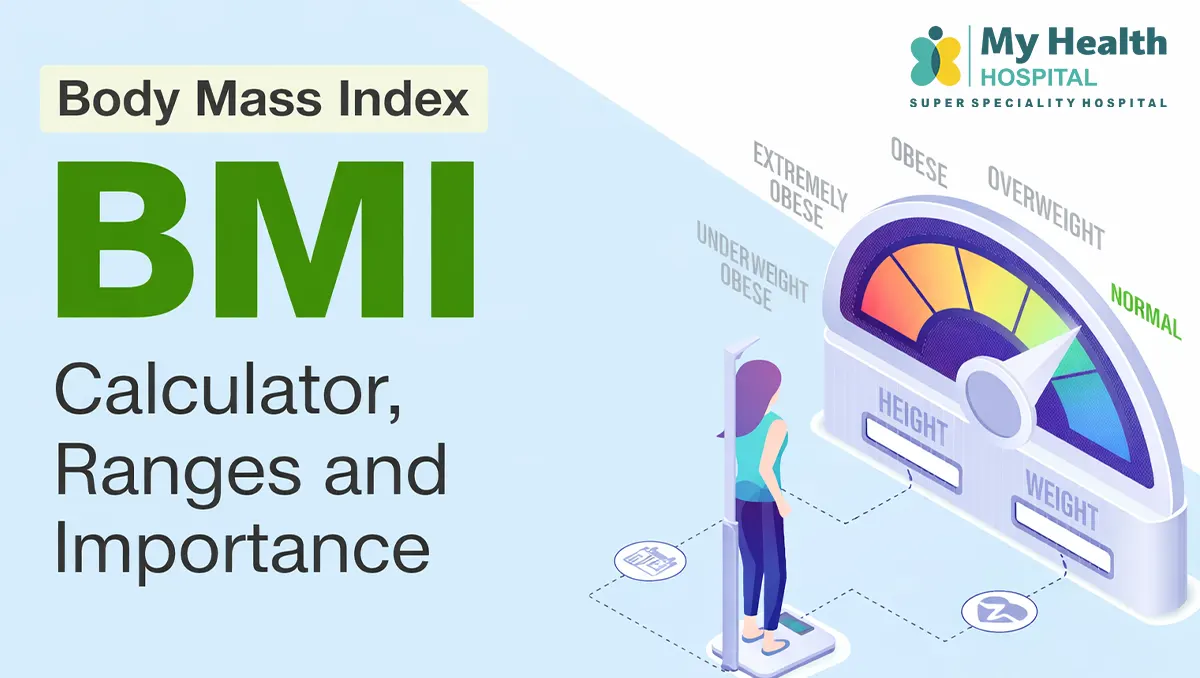 BMI Calculator for Men & Women | BMI Chart, Ranges & Health Risks (2025)