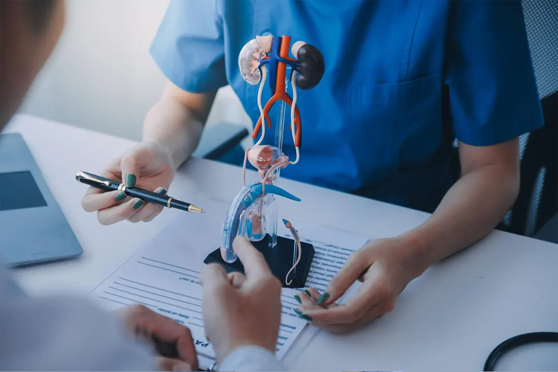 What is Urology and Why is It Important