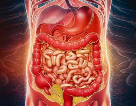 best-Gastroenterology-hospital