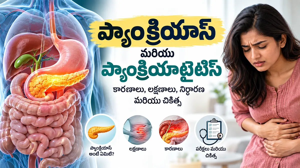 ప్యాంక్రియాస్ మరియు ప్యాంక్రియాటైటిస్ తెలుగు వైద్య గైడ్