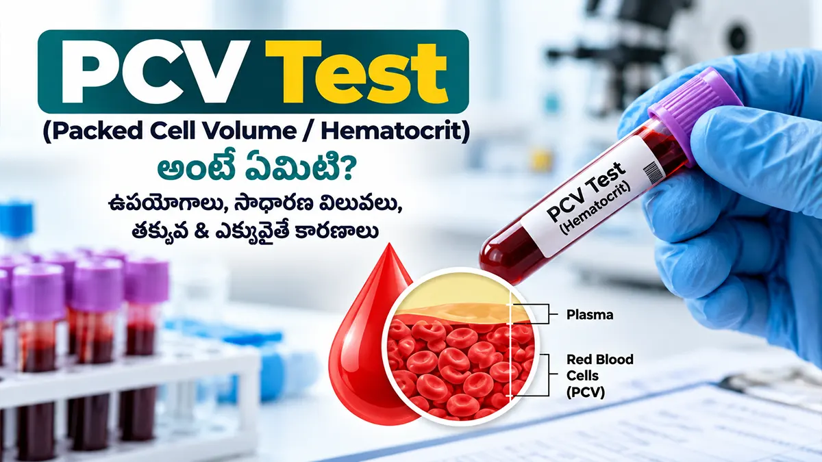 PCV packed cell volume hematocrit blood test guide