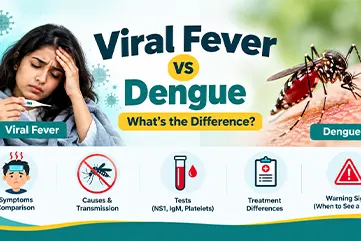 Viral Fever vs Dengue: Symptoms, Differences, Test & Warning Signs (2026)